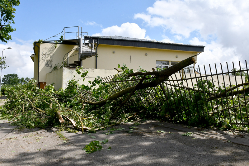 Autors: Ivars Bogdanovs