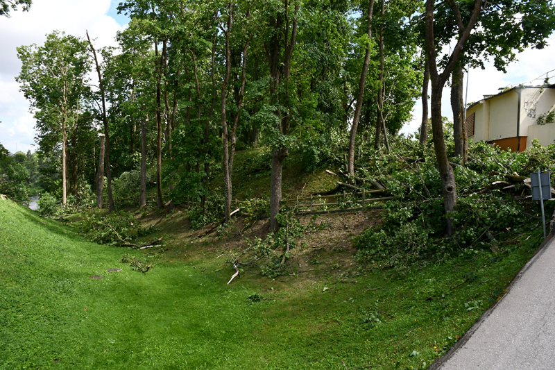 Autors: Ivars Bogdanovs