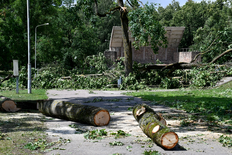 Autors: Ivars Bogdanovs