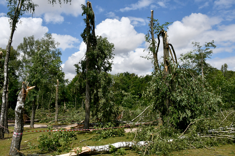 Autors: Ivars Bogdanovs