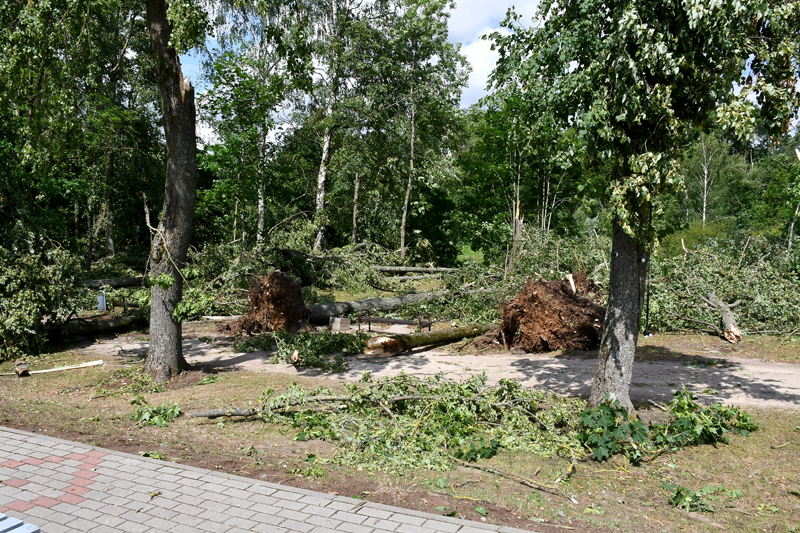 Autors: Ivars Bogdanovs