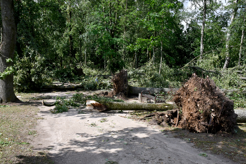 Autors: Ivars Bogdanovs