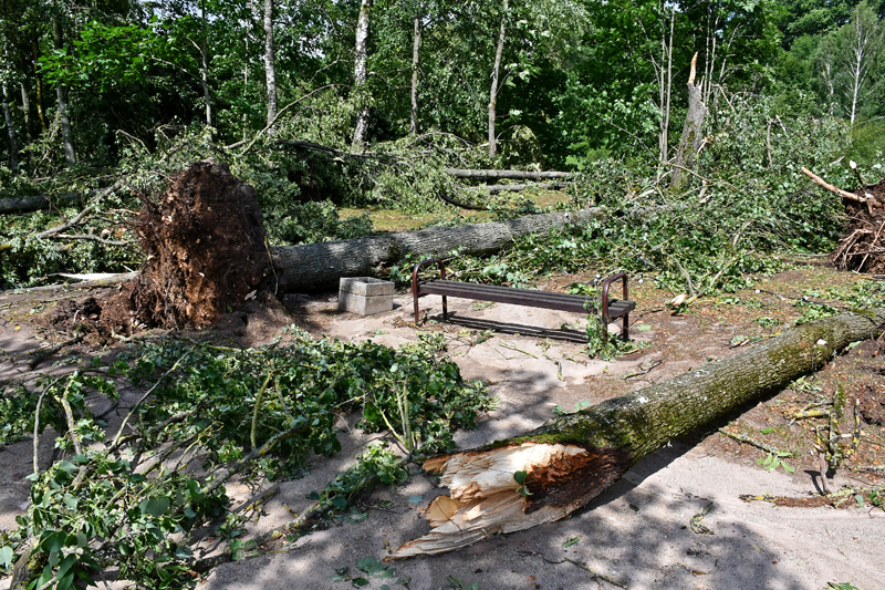 Autors: Ivars Bogdanovs