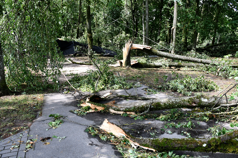 Autors: Ivars Bogdanovs