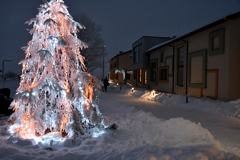 Autors: Ivars Bogdanovs