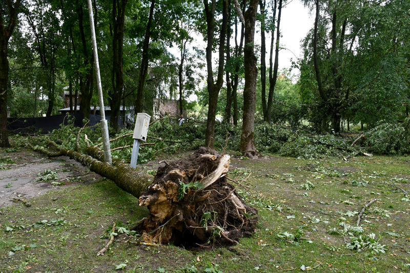 Autors: Ivars Bogdanovs