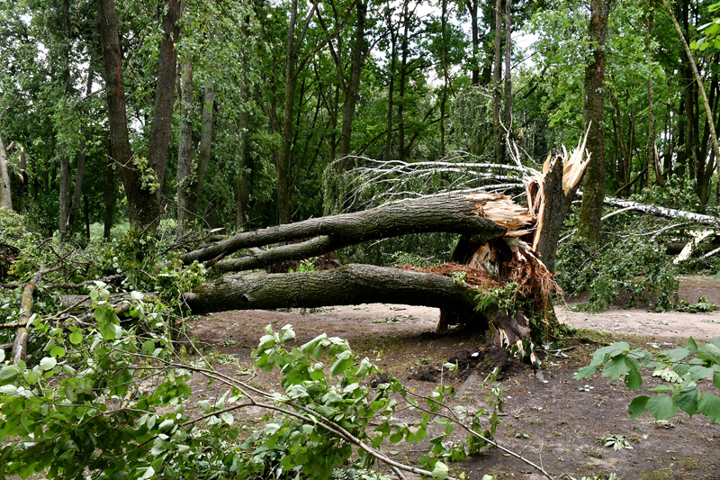 Autors: Ivars Bogdanovs