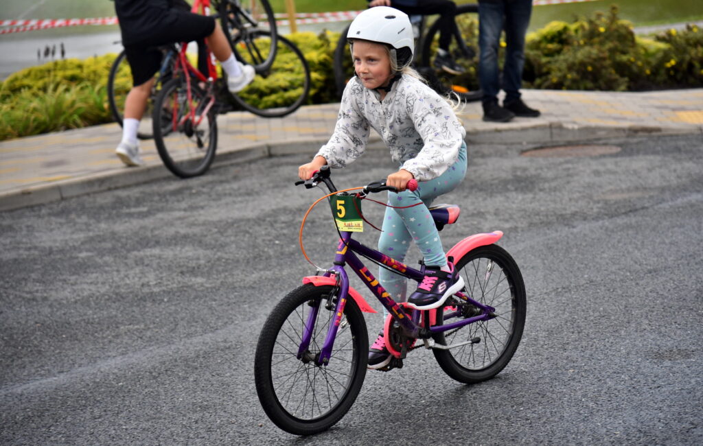 Autors: Uldis Varnevičs