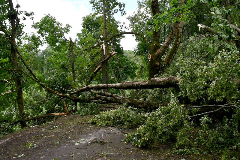 Autors: Ivars Bogdanovs