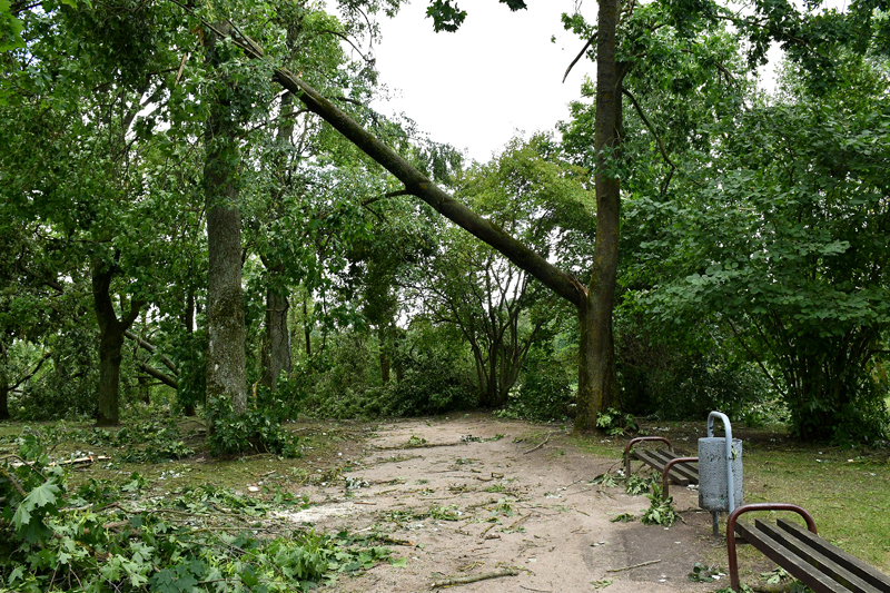 Autors: Ivars Bogdanovs