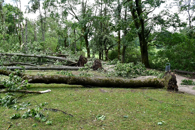 Autors: Ivars Bogdanovs