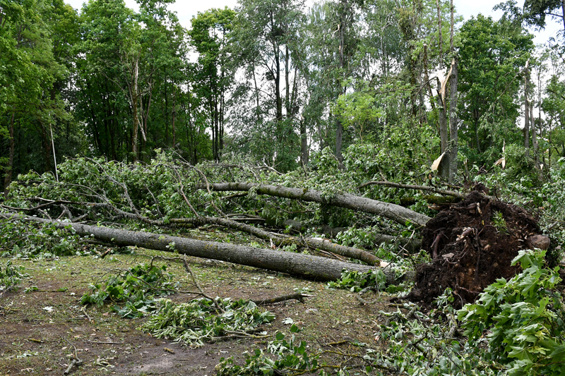 Autors: Ivars Bogdanovs