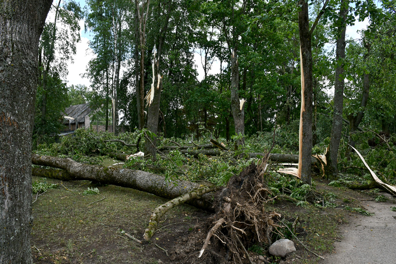 Autors: Ivars Bogdanovs