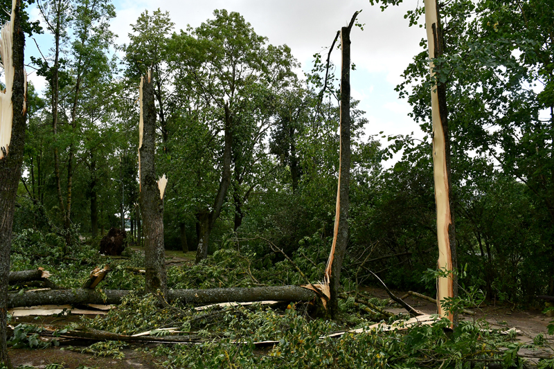 Autors: Ivars Bogdanovs