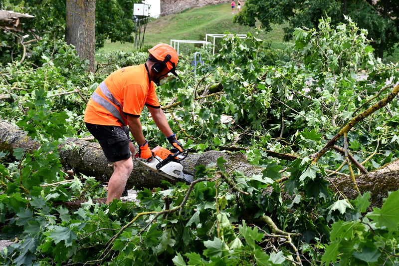 Autors: Ivars Bogdanovs