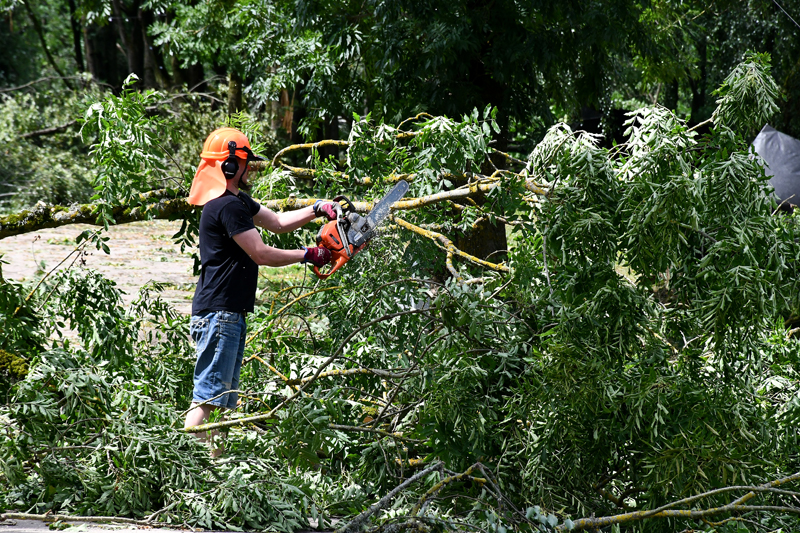 Autors: Ivars Bogdanovs