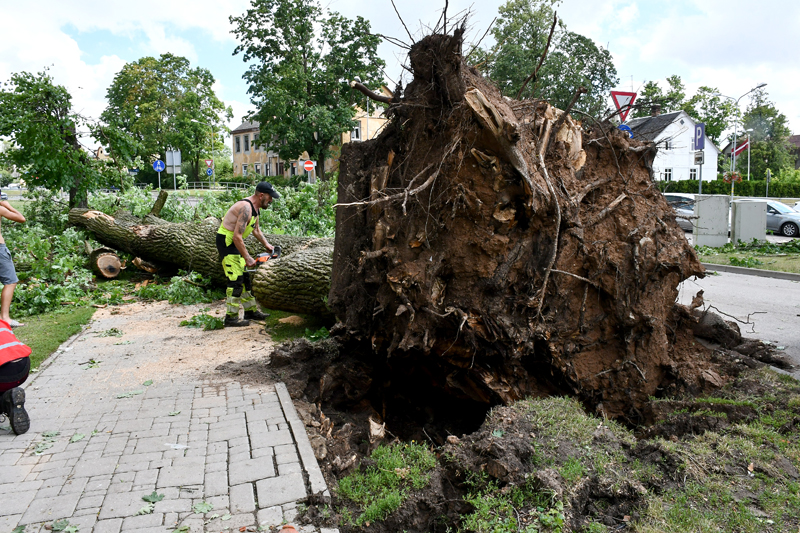 Autors: Ivars Bogdanovs