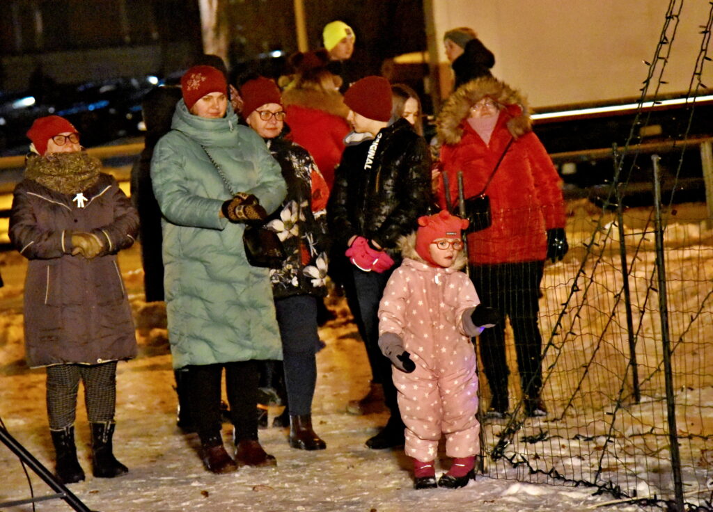 Autors: Uldis Varnevičs