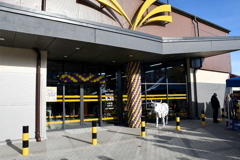 Autors: Ivars Bogdanovs