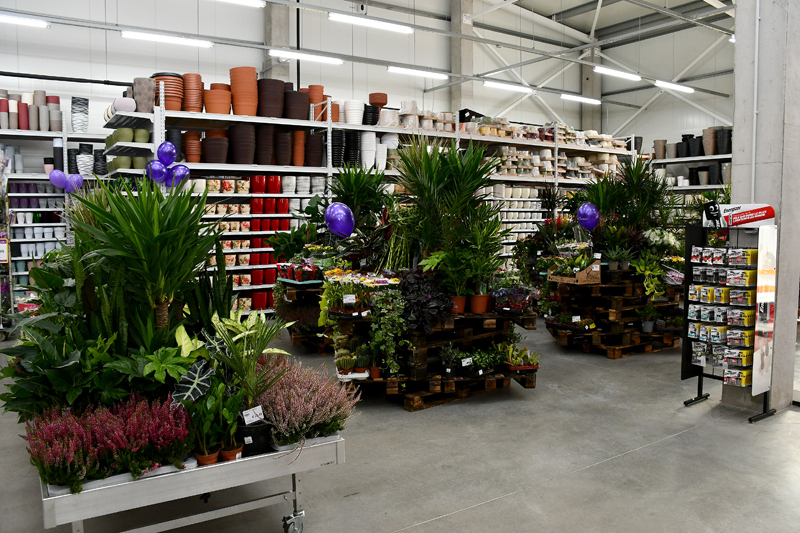 Autors: Ivars Bogdanovs