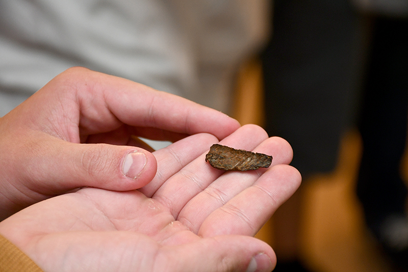 Autors: Ivars Bogdanovs