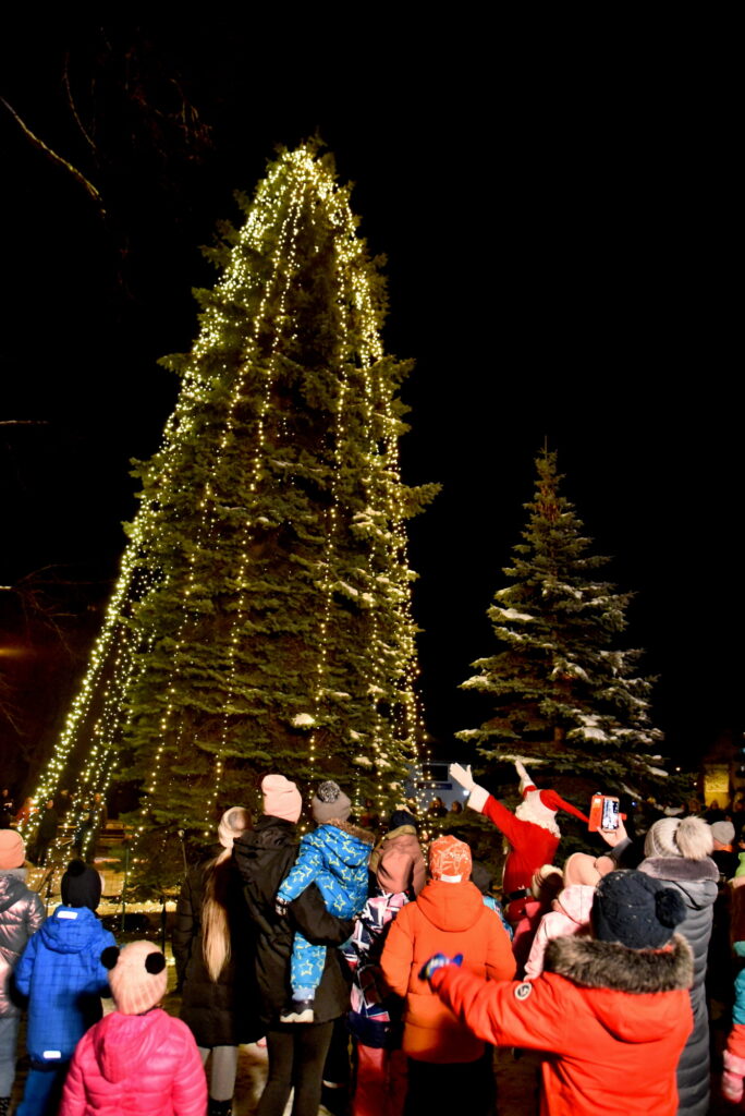 Autors: Uldis Varnevičs