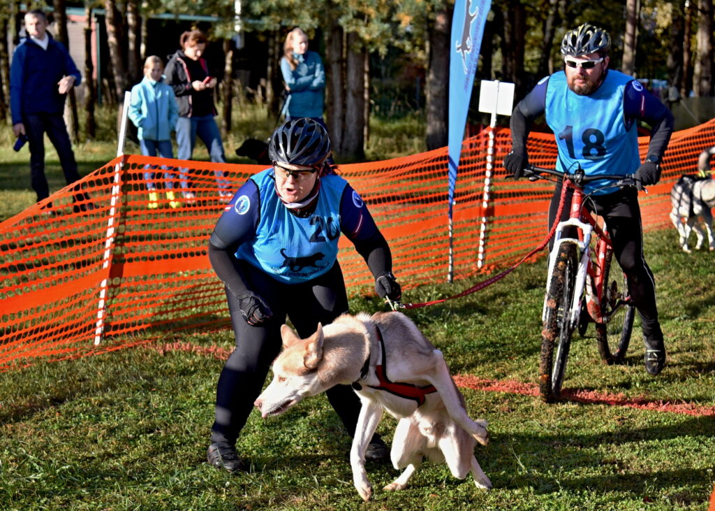Autors: Uldis Varnevičs