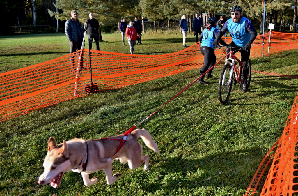 Autors: Uldis Varnevičs