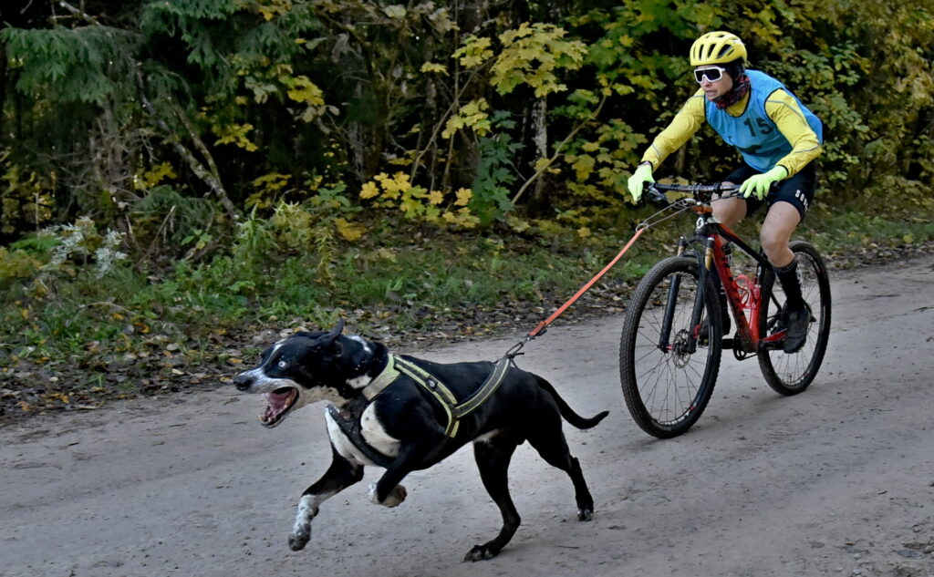Autors: Uldis Varnevičs