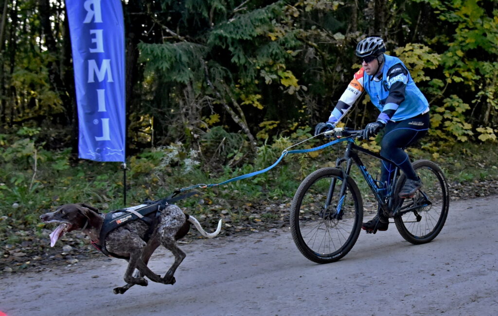 Autors: Uldis Varnevičs