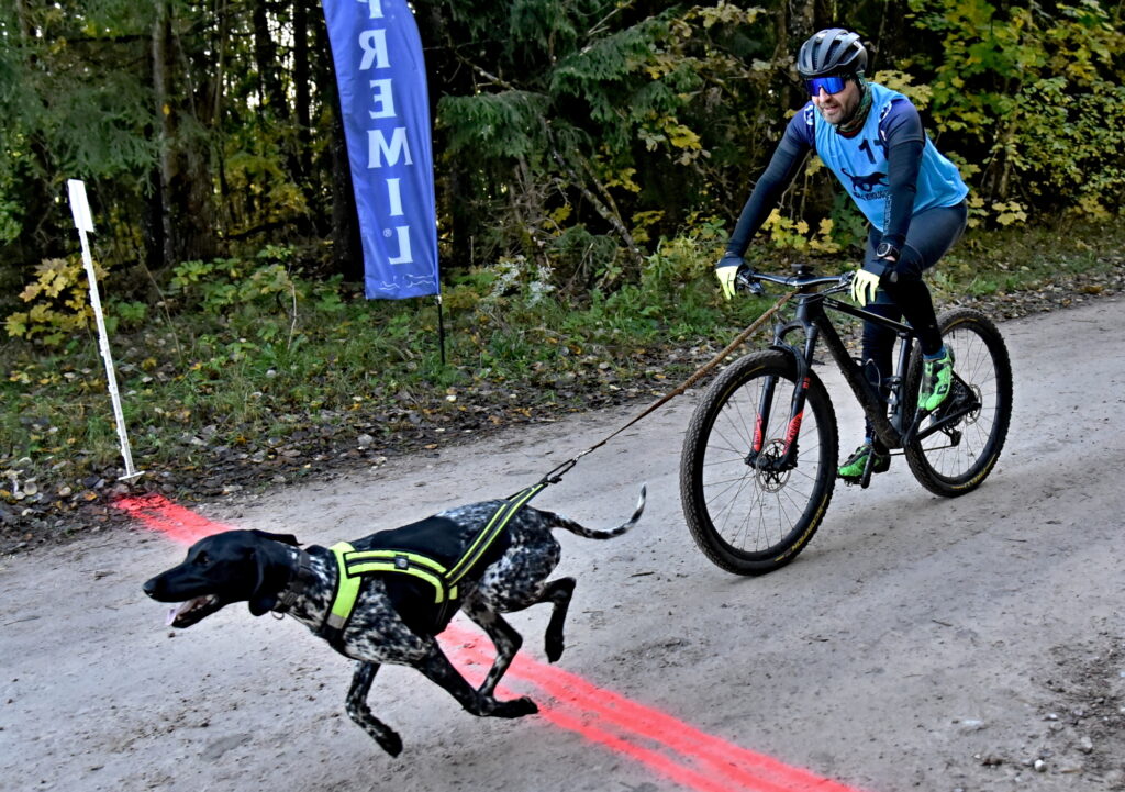 Autors: Uldis Varnevičs