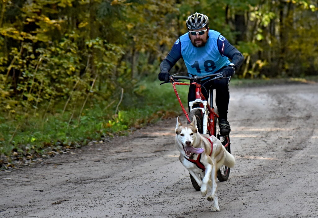 Autors: Uldis Varnevičs