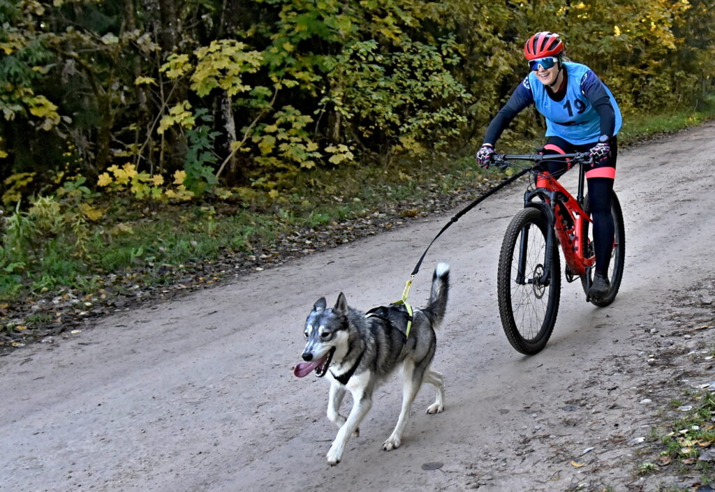 Autors: Uldis Varnevičs