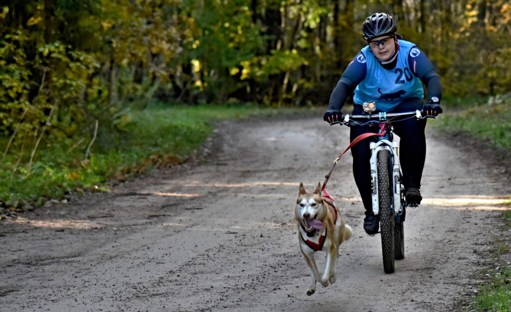 Autors: Uldis Varnevičs