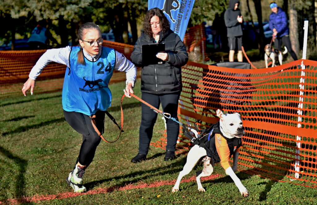 Autors: Uldis Varnevičs