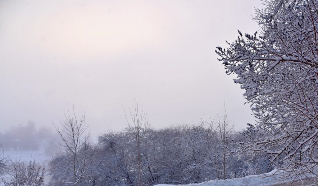 Autors: Uldis Varnevičs