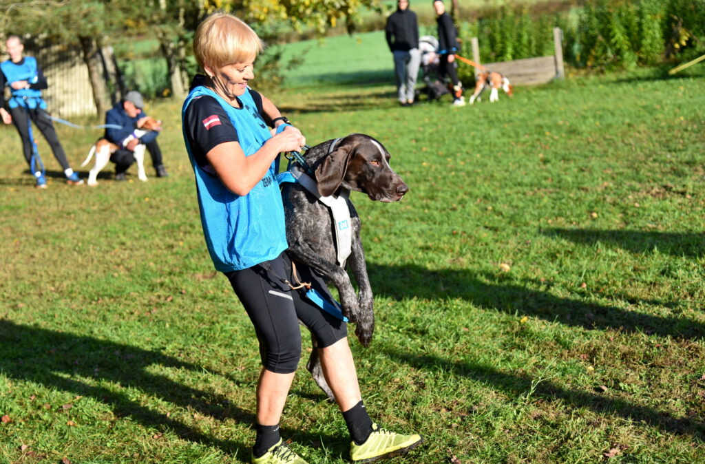 Autors: Uldis Varnevičs