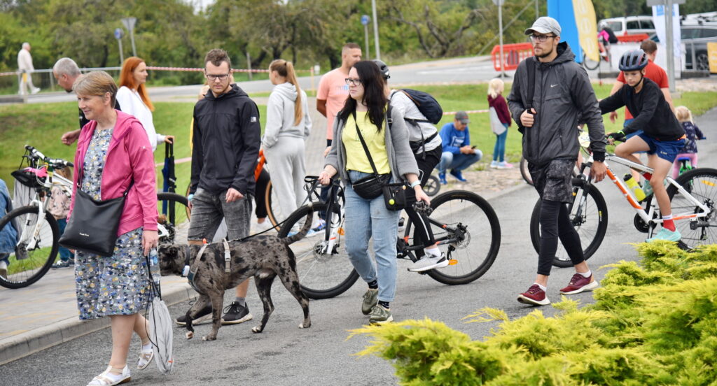 Autors: Uldis Varnevičs