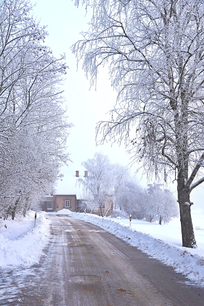 Autors: Uldis Varnevičs