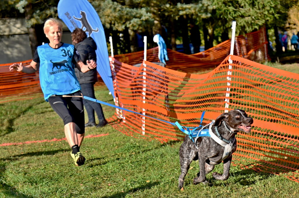 Autors: Uldis Varnevičs