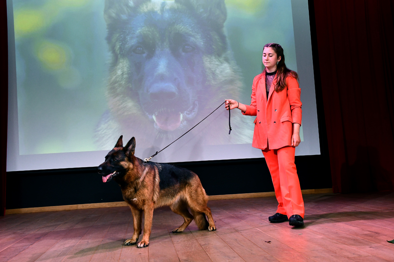 Autors: Ivars Bogdanovs