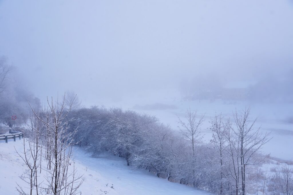 Autors: Uldis Varnevičs