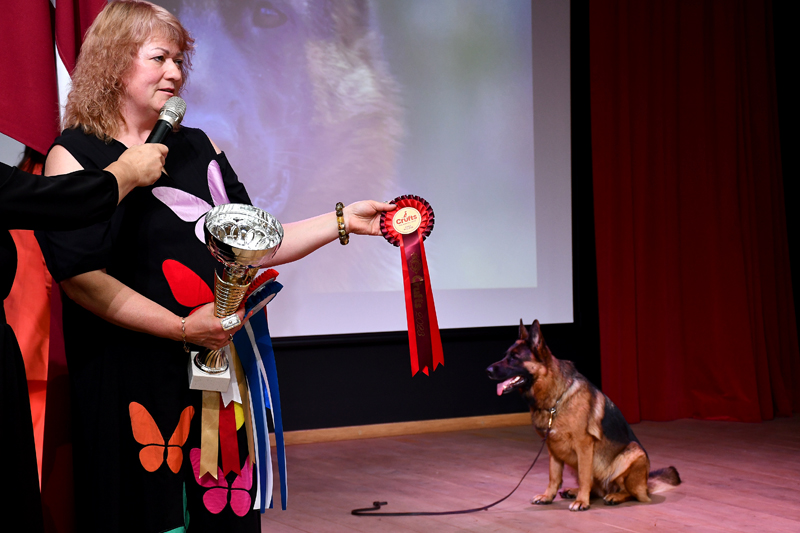 Autors: Ivars Bogdanovs