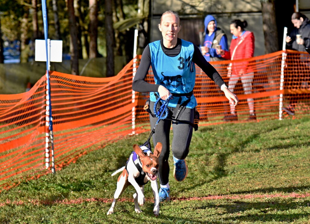 Autors: Uldis Varnevičs