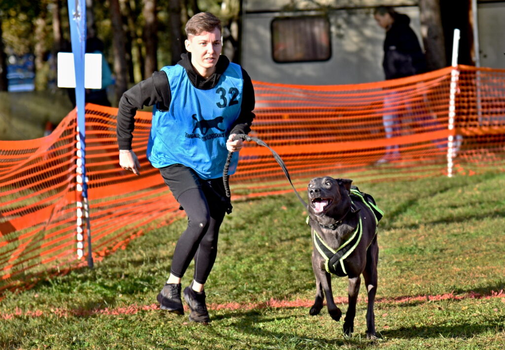 Autors: Uldis Varnevičs