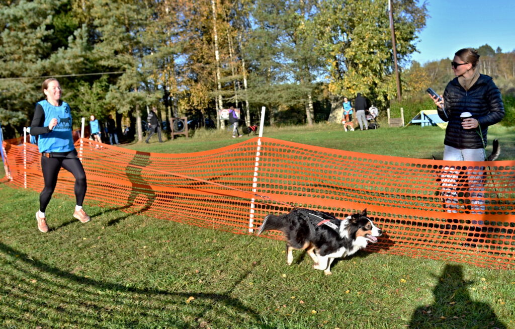 Autors: Uldis Varnevičs