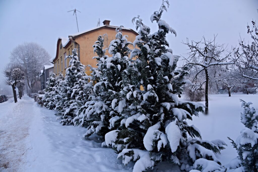 Autors: Uldis Varnevičs