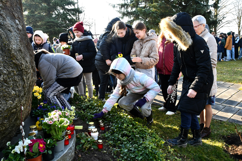 Autors: Ivars Bogdanovs