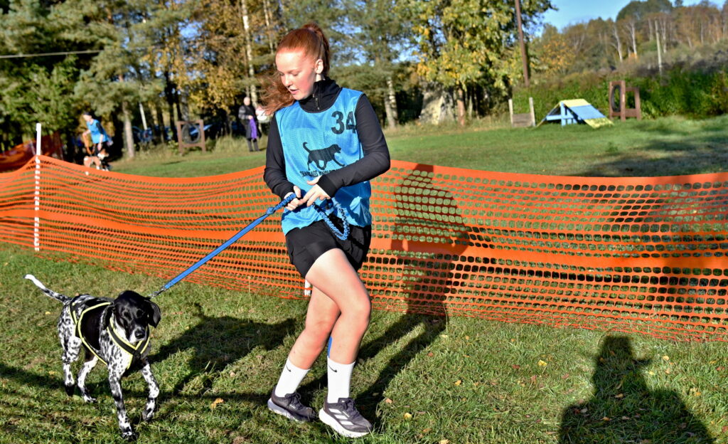 Autors: Uldis Varnevičs