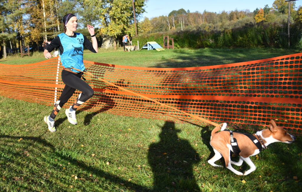 Autors: Uldis Varnevičs